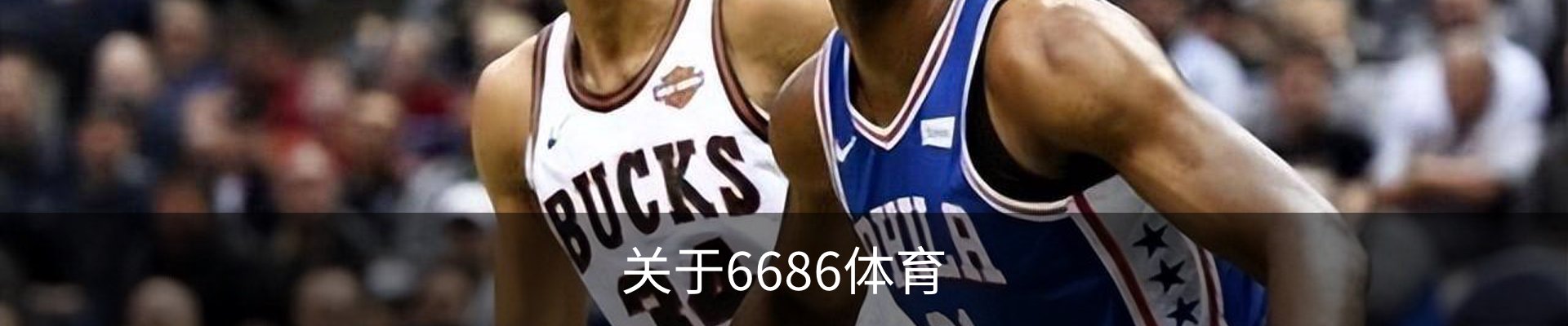 关于6686体育